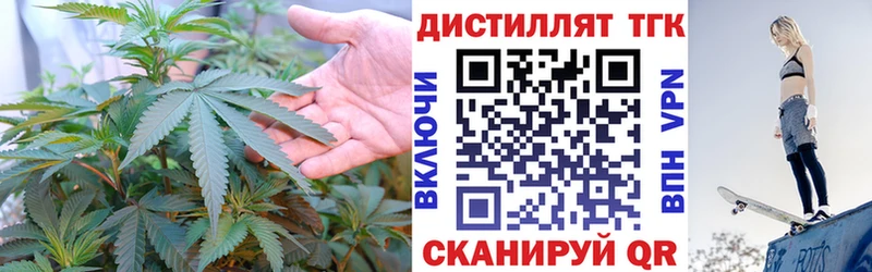 дарнет шоп  Североморск  ТГК гашишное масло 