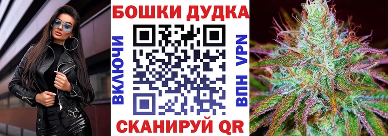 Конопля SATIVA & INDICA  мориарти Telegram  Североморск  что такое  